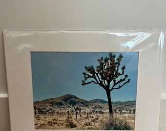 Joshua Tree with mat