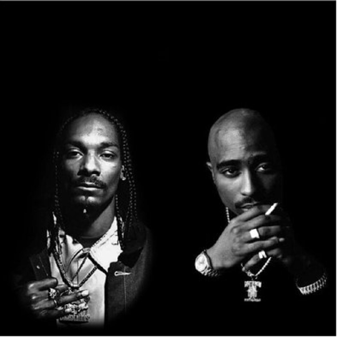 Laminated Snoop Dogg and Tupac Cornhole Boards Wrap Set - Etsy