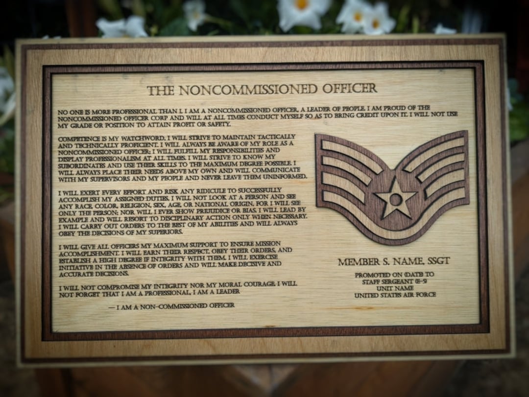 Air Force E5 Staff Sergeant Promotion Plaque Etsy
