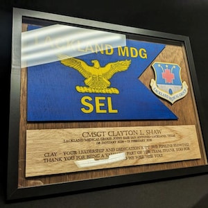 May include: Framed wooden plaque featuring a blue flag with a gold eagle and the text "SEL". Includes a patch and a wooden plate with engraved text. The plaque is in a black frame.