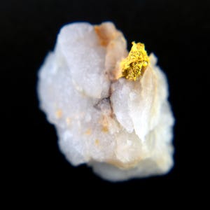 Natural Gold In Quartz Specimen - Castlemaine Region, Australia