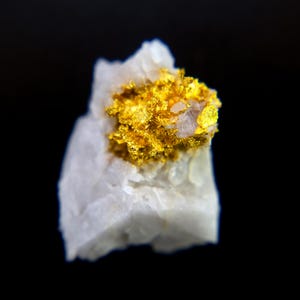 Natural Crystalline Gold ‘Among Us’ Specimen - Castlemaine Region, Australia