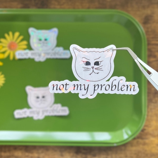 Holographic Sticker / Not My Problem / Stickers / Cute Sticker / Vinyl Stickers / Sassy Cat / Handmade Design / Cute / lilchonkstudio