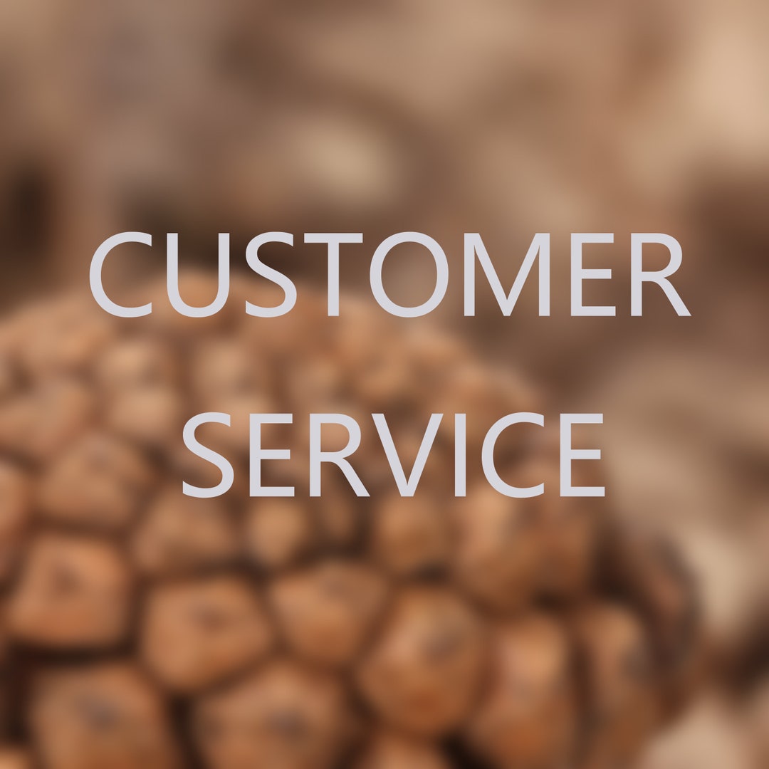 Customer Service Etsy