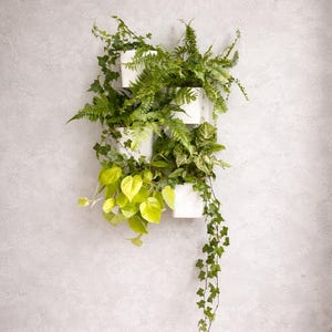 Plantenwand voor ECHTE planten met grote potten (12 cm) | Verticale tuin, wanddecoratie | Geschikt voor IKEA Skadis