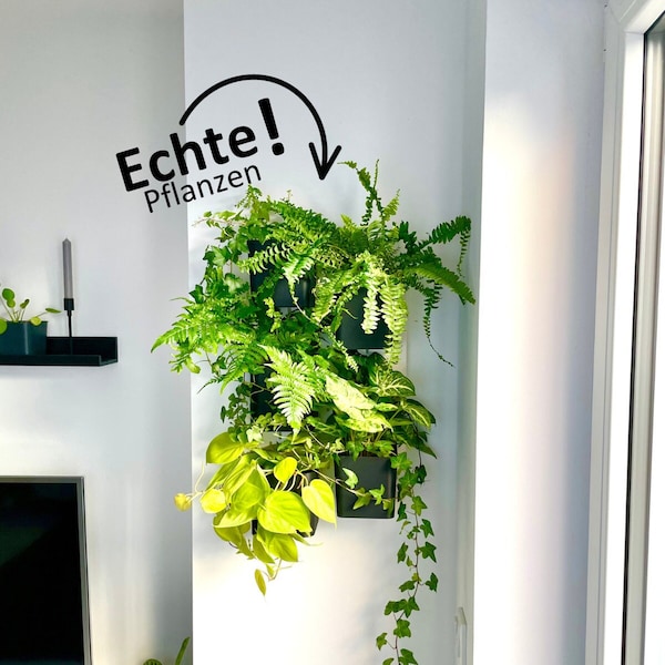 Pflanzenwand für ECHTE Pflanzen mit großem 12 cm Topfdurchmesser| Vertikal Garden | IKEA Skadis Hack