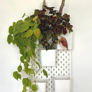 Plant Wall IKEA Skadis | Large Pots 12 cm for Real Plants | Vertical Garden Wall Decor image 5