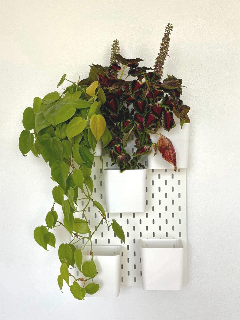 Plant Wall IKEA Skadis | Large Pots 12 cm for Real Plants | Vertical Garden Wall Decor image 5