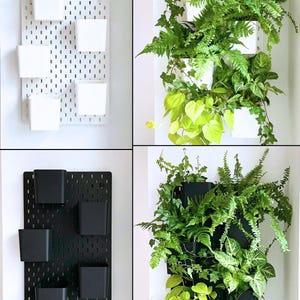 Moderne Pflanzenwand mit hängenden Töpfen für Luftpflanzen und Blumen. Diese Wandhalterung verwandelt Ihren Raum in einen vertikalen Garten – ideal für Pflanzenzimmer, IKEA Skadis Lochwand oder Indoor-Deko. Schwarz oder Weiß