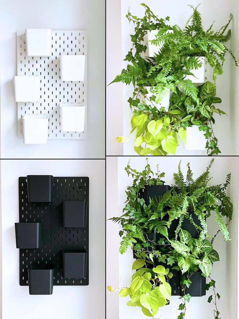 Moderne Pflanzenwand mit hängenden Töpfen für Luftpflanzen und Blumen. Diese Wandhalterung verwandelt Ihren Raum in einen vertikalen Garten – ideal für Pflanzenzimmer, IKEA Skadis Lochwand oder Indoor-Deko. Schwarz oder Weiß