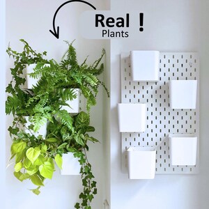 Moderne Pflanzenwand mit hängenden Töpfen für Luftpflanzen und Blumen. Diese Wandhalterung verwandelt Ihren Raum in einen vertikalen Garten – ideal für Pflanzenzimmer, IKEA Skadis Lochwand oder Indoor-Deko.