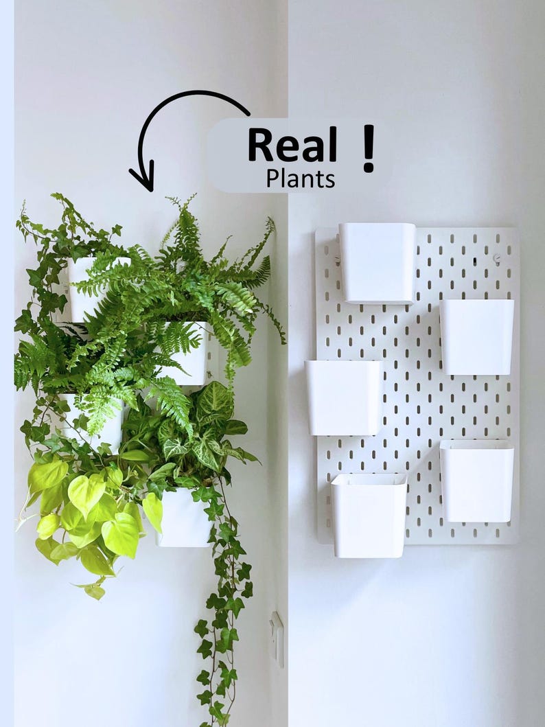 Moderne Pflanzenwand mit hängenden Töpfen für Luftpflanzen und Blumen. Diese Wandhalterung verwandelt Ihren Raum in einen vertikalen Garten – ideal für Pflanzenzimmer, IKEA Skadis Lochwand oder Indoor-Deko.