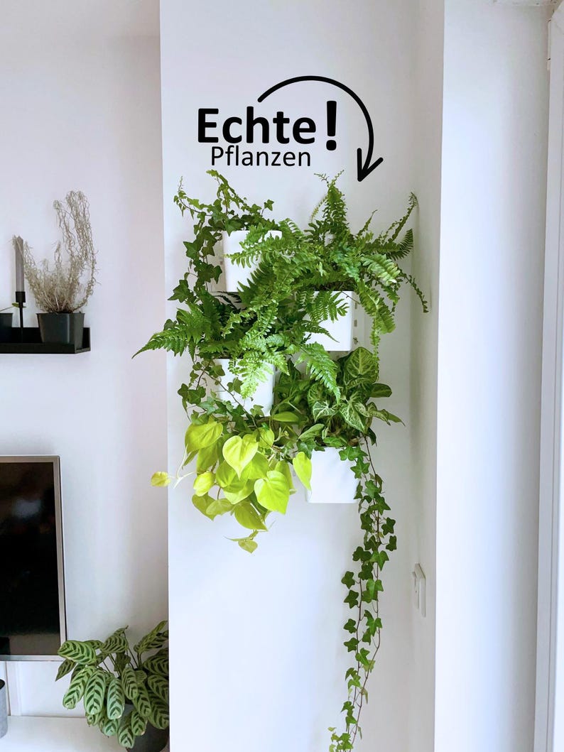 Moderne Pflanzenwand mit hängenden Töpfen für Luftpflanzen und Blumen. Diese Wandhalterung verwandelt Ihren Raum in einen vertikalen Garten – ideal für Pflanzenzimmer, IKEA Skadis Lochwand oder Indoor-Deko.