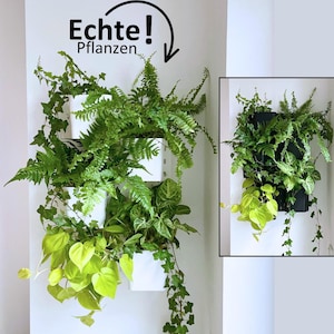 Plant Wall IKEA Skadis | Large Pots 12 cm for Real Plants | Vertical Garden Wall Decor image 10