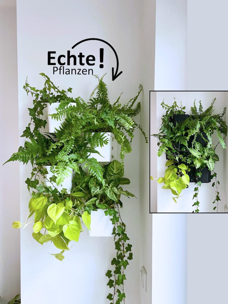 Plant Wall IKEA Skadis | Large Pots 12 cm for Real Plants | Vertical Garden Wall Decor image 10