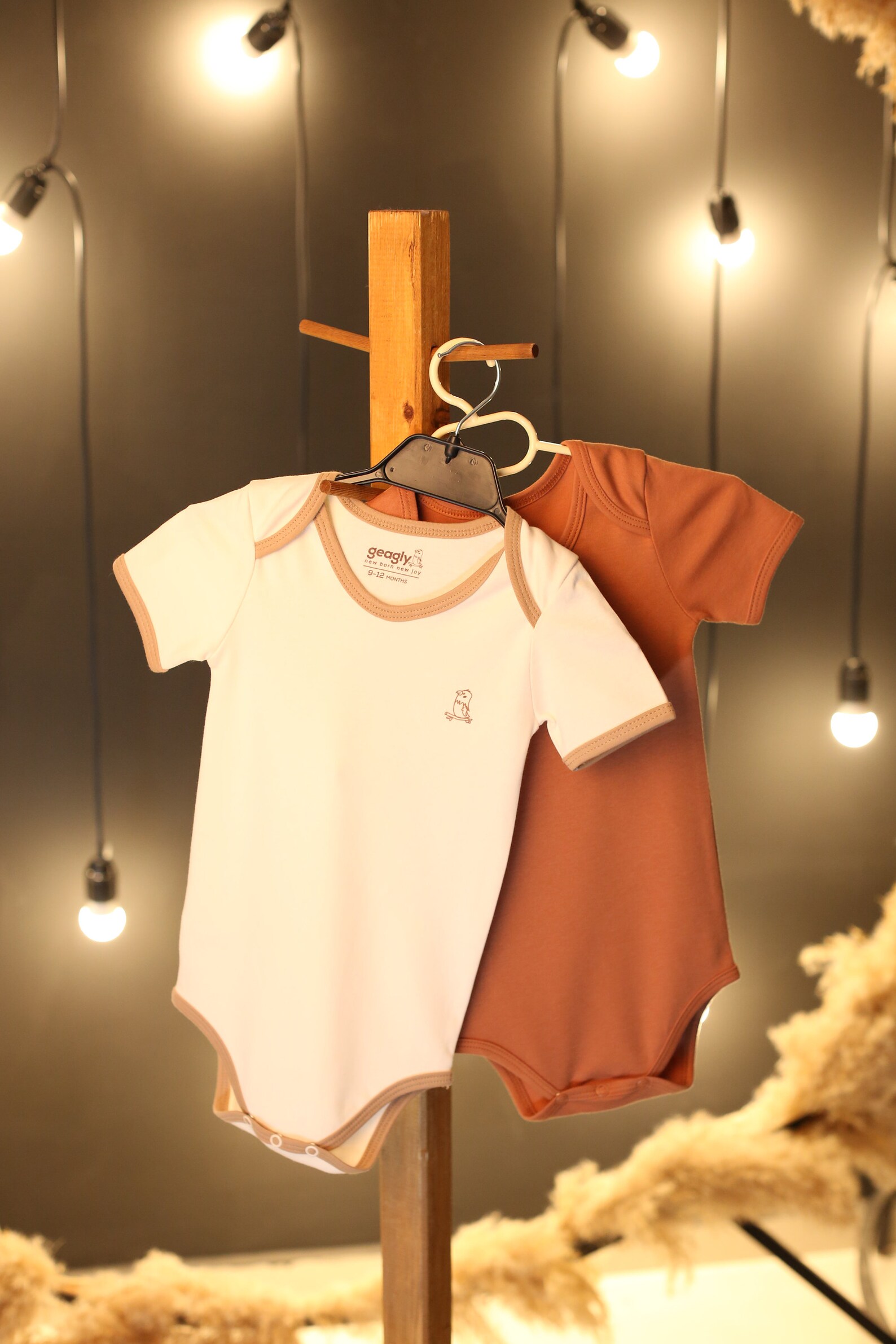 2 Pack 100 Organic Cotton Baby Onesies Organic Baby Clothes Organic