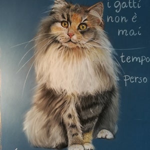 Quadro pastello originale disegnato a mano con cornice economica Gatto con frase