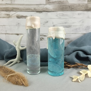 Real Jellyfish Specimen, Jellyfish Wet Specimen, Jellyfish Specimen Preserved in Glass Jar, Gift for Ocean Lovers, Office Decoration