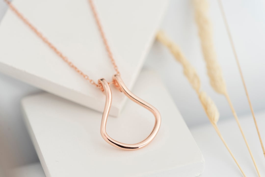 ring-holder-necklace-horse-shoe-doctor-nurse-gift-ring-keeper-necklace