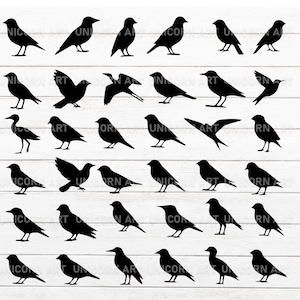 Bird Silhouttes SVG, Bird Svg Bundle, 36 Bird Clip Art, Animal Svg, Flying Bird Svg, Digital Download, Png