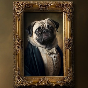 son raros los pugs negros