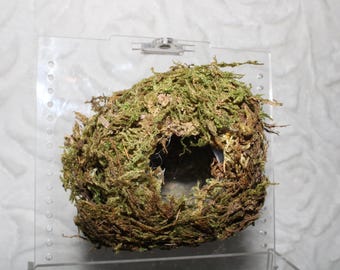 Moss Ball Hide for Pet Spider Jumping Spider Choose a Size Medium or Large