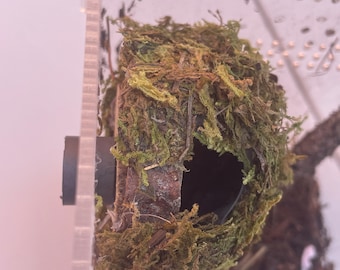 Hanging Moss Hide for Spiders Jumping Spiders Insects Magnetic Stays on Enclosure Wall with Strong Magnets Jumping Spider Hide