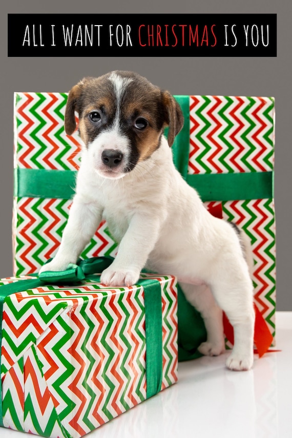 Christmas Dog Poster, Cute Dog Art Print, Unique Gift, Vertical