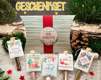 Christmas gift set - 5 test tubes with cocoa powder, Christmas sugar, herbal salt, mulled wine spices, red baking apple tea