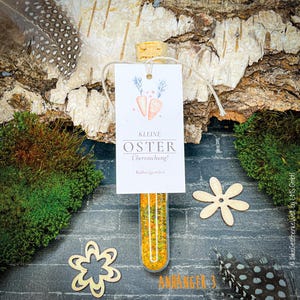 May include: A glass vial filled with yellow and green granules, topped with a cork and a tag that reads "Kleine Oster &Uuml;berraschung!" with carrot illustrations. The vial is suspended against a backdrop of wood, moss, and decorative wooden flowers.