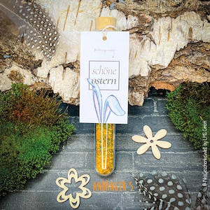 May include: A clear glass vial filled with yellow spices, topped with a cork, and a white tag that reads "sch&ouml;ne Ostern" with bunny ears. The image includes wooden cutouts, feathers, and moss.