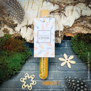 May include: A glass vial with a cork stopper, filled with yellow and green spices, and a tag that reads "Ein Kleiner Oster Gru&szlig;". The tag has carrot illustrations. The background includes wood, moss, and decorative wooden flowers.