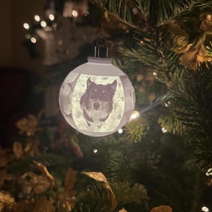 Custom 3D Printed Lithophane Ornament - Warm White LED Lights