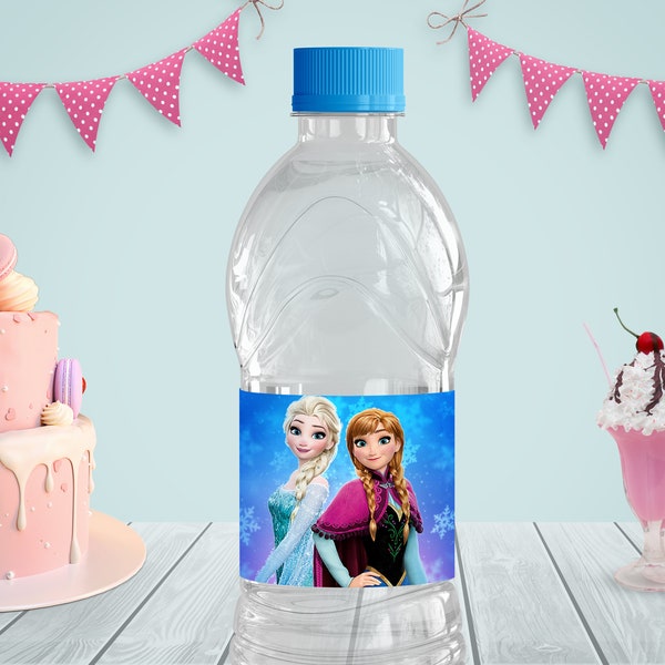 Frozen Water Bottle - Etsy