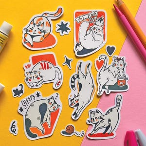 Pacchetto di adesivi di gatti stravaganti - Gatti carini disegnati a mano - Collezione di adesivi in vinile - Adorabile arte felina