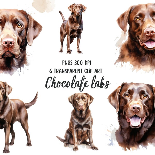 Chocolate Lab - Etsy
