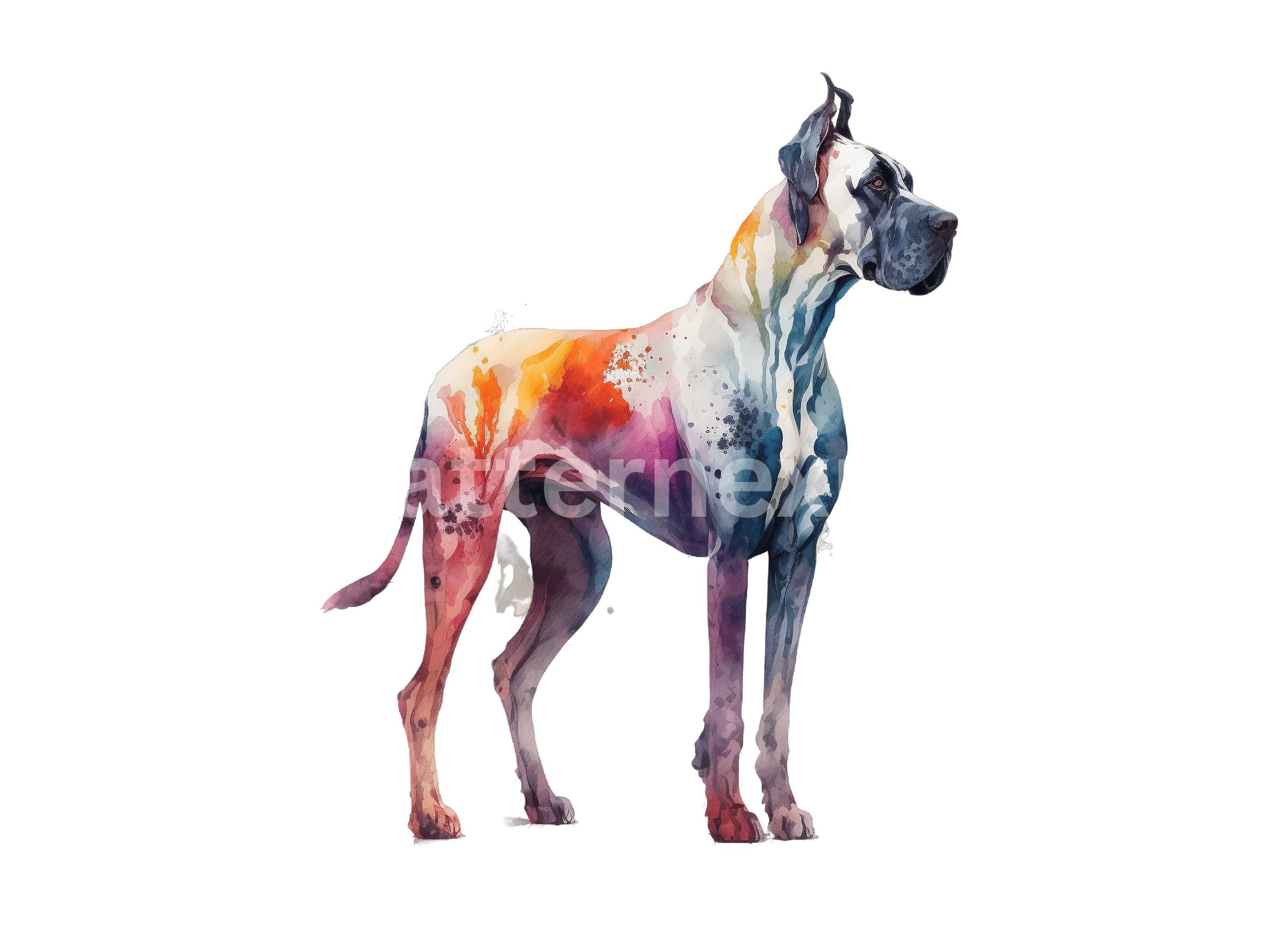 Great Dane Clipart 6 Watercolor Dogs Clip Art Pngs Etsy