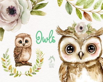Owl Watercolor Clipart, Cute Baby Shower Graphics, Bird Nursery Decor Wall Art, Woodland Animal