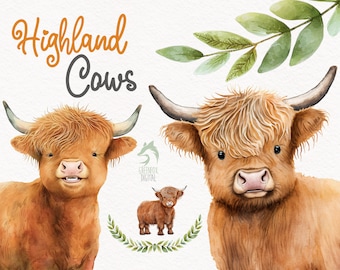 Highland Cow Watercolor Clipart, Cute Baby Shower Graphics, Nursery Decor Wall Art, Scotland Farm Animal