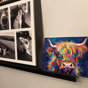 Highland Coo Worktop Saver wall display