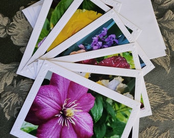 Flower Greeting Cards (6-variety) for BVSPCA
