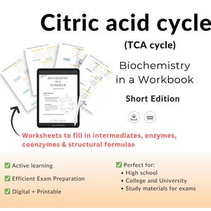 Learn Citric acid cycle (TCA cycle) – Biochemistry Workbook | Worksheets for quick review & exam preparation | Short ed. | Ebook | English