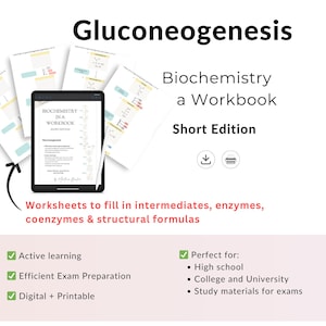 Learn gluconeogenesis – Biochemistry Workbook | Worksheets for quick review & exam preparation | Short edition | Ebook | English