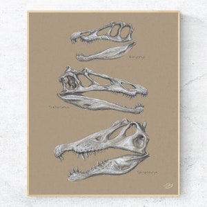 Spinosaur Skulls Charcoal Drawing, Fossil Drawing, Dinosaur Wall Art, Room Decor, Spinosaurus Paleo Art