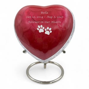 Può includere: Un'urna a forma di cuore, rossa, per animali domestici, con finiture e supporto color argento. L'urna presenta il nome "Bella", date e la frase "Forever in Our Hearts" con impronte di zampe. Per le ceneri di un animale.