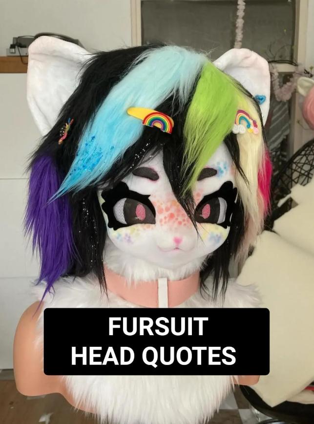 Fursuit Kig Head Quotes OPEN