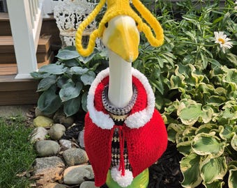 Cindy Goose Who Outfit