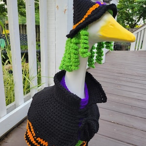 Porch Goose Witch Outfit