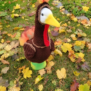 Porch Goose Turkey Outfit