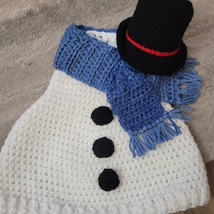 Porch Goose Snowman Outfit